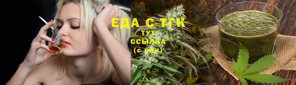 индика Богданович