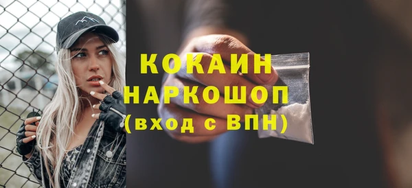 индика Богданович