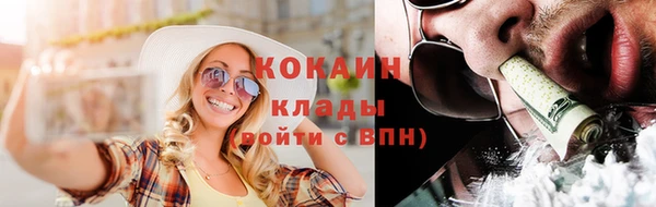 индика Богданович