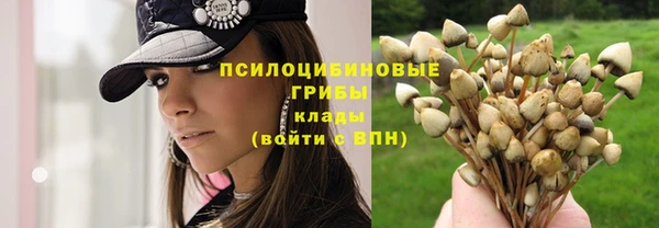 дживик Богородицк