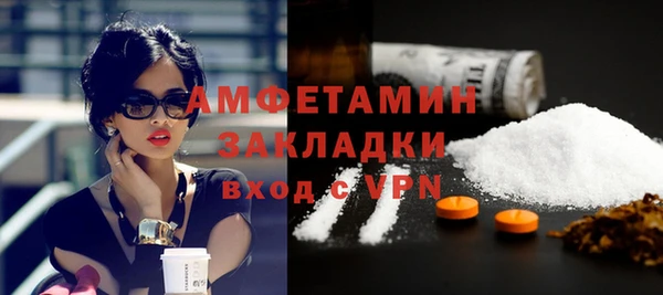 индика Богданович