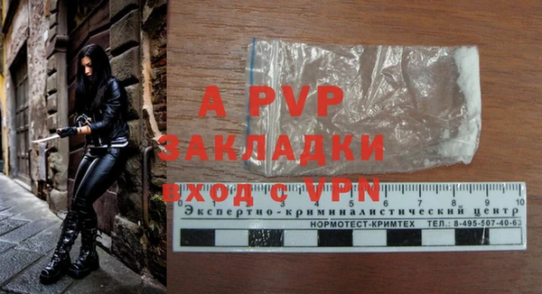 индика Богданович