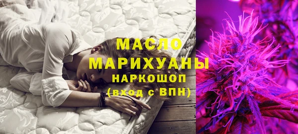 индика Богданович