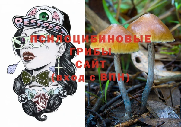 прущий лед Белокуриха