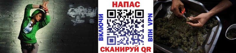Бошки Шишки марихуана Белорецк